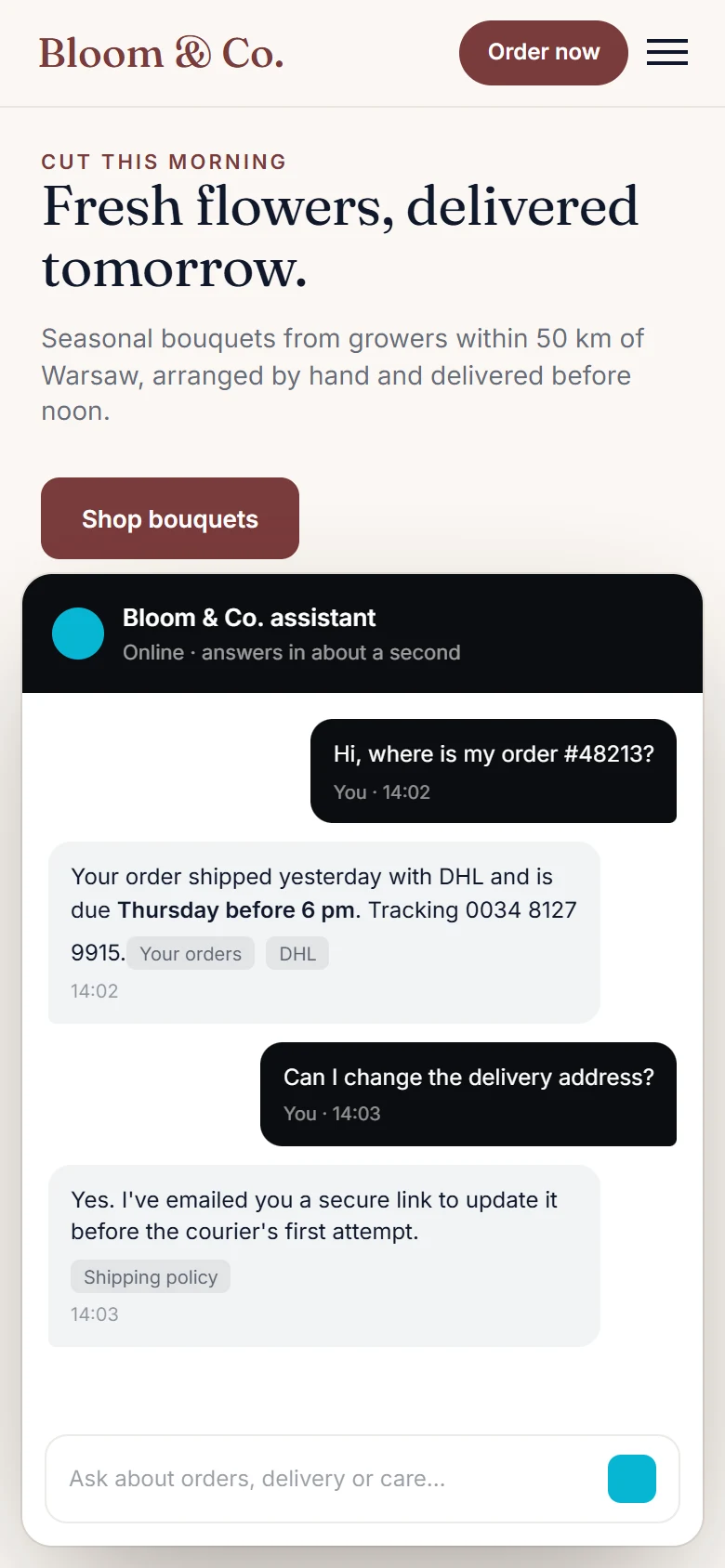 SnobBots: Shop widget on a phone